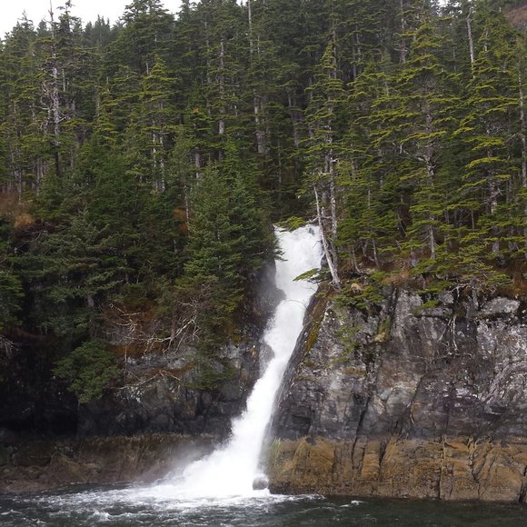 Meet your Posher - Picture 8 of 9